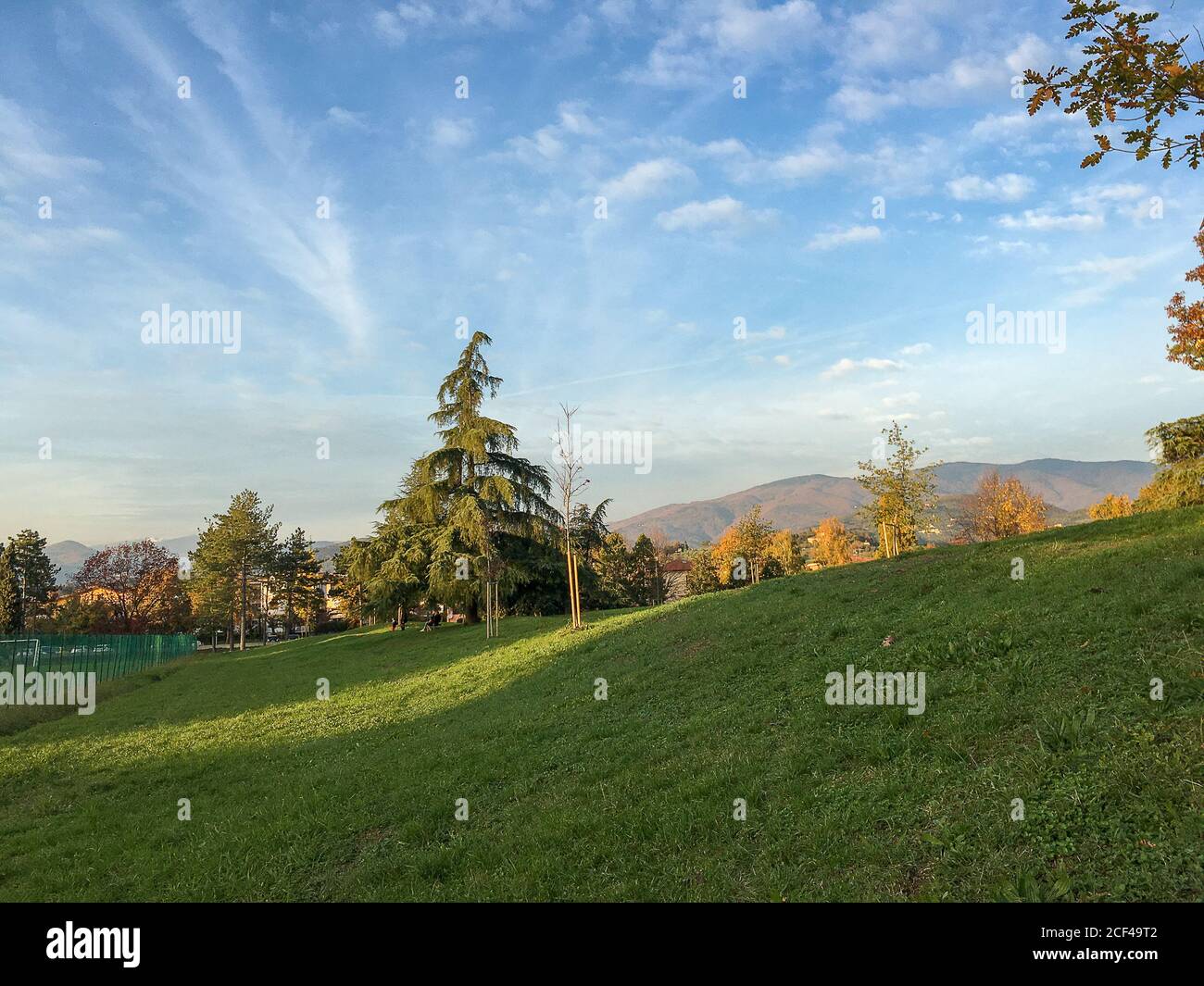 un campo verde con árboles y cielo azul en otoño tiempo Foto de stock
