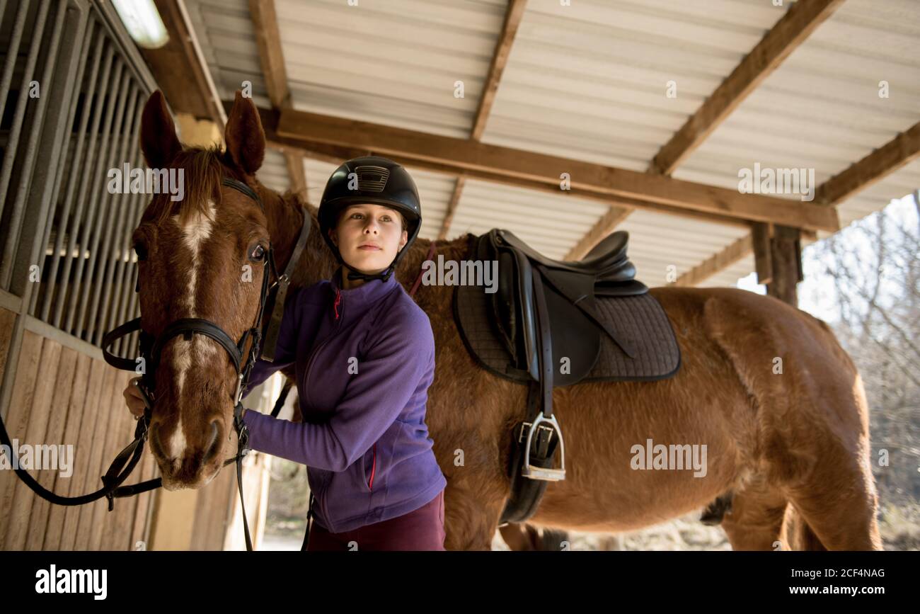 Linda niña en el casco poniendo el cepillado de un caballo blanco mientras está de pie cerca de puestos en establo durante la clase de equitación en el rancho Foto de stock