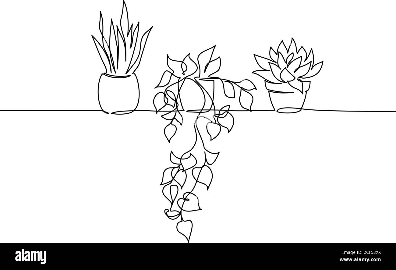 Plantas de la casa en macetas. Dibujo continuo de una línea. Aislado sobre fondo blanco. Ilustración vectorial. Ilustración del Vector