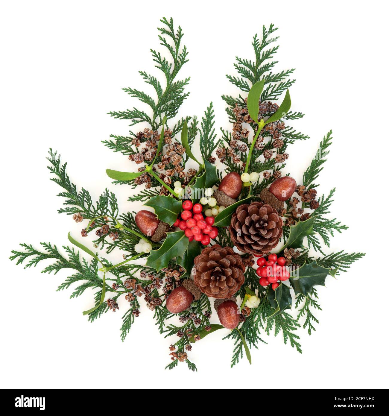 Navidad de invierno y año Nuevo decoración floral con acebo, muérdago,  ciprés de cedro, conos de pino y bellotas sobre fondo blanco Fotografía de  stock - Alamy