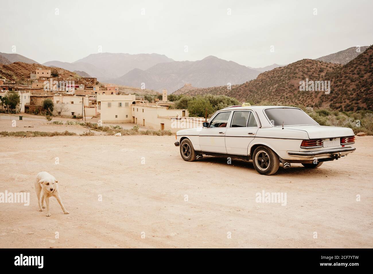 Un taxi blanco aparcado en una calle de tierra con un perro parado cerca En el barrio pobre de la ciudad de Marrakech con pequeñas casas de piedra situado en tierra montañosa Foto de stock