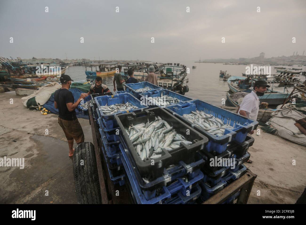 Ciudad de Gaza, Territorios palestinos. 04 de septiembre de 2020. Los pescadores palestinos descargan sus capturas después de un viaje nocturno de pesca en el puerto de Gaza. Israel ha reabierto una zona de pesca de 15 km (25 millas) frente a la costa de Gaza después de un acuerdo a través de mediadores internacionales para poner fin a la última ronda de violencia transfronteriza entre Hamas e Israel. Crédito: Mohammed Talatene/dpa/Alamy Live News Foto de stock