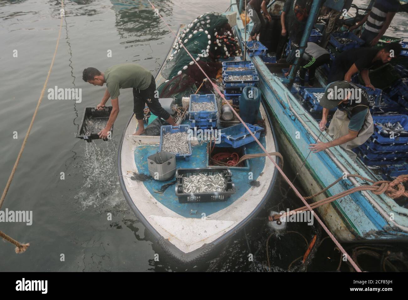 Ciudad de Gaza, Territorios palestinos. 04 de septiembre de 2020. Los pescadores palestinos descargan sus capturas después de un viaje nocturno de pesca en el puerto de Gaza. Israel ha reabierto una zona de pesca de 15 km (25 millas) frente a la costa de Gaza después de un acuerdo a través de mediadores internacionales para poner fin a la última ronda de violencia transfronteriza entre Hamas e Israel. Crédito: Mohammed Talatene/dpa/Alamy Live News Foto de stock