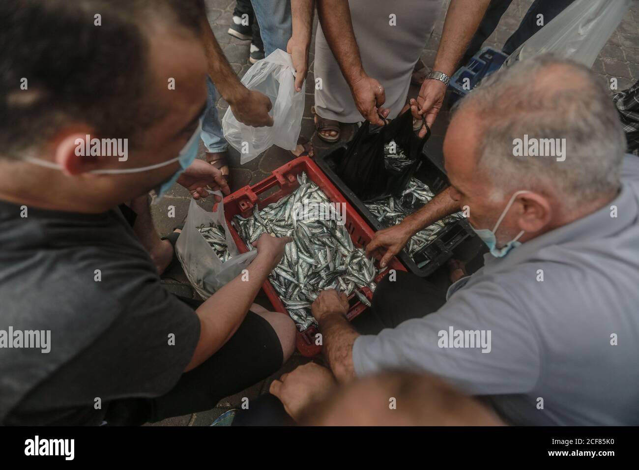 Ciudad de Gaza, Territorios palestinos. 04 de septiembre de 2020. Los pescadores palestinos disipan sus peces después de un viaje de pesca nocturno en el puerto de Gaza. Israel ha reabierto una zona de pesca de 15 km (25 millas) frente a la costa de Gaza después de un acuerdo a través de mediadores internacionales para poner fin a la última ronda de violencia transfronteriza entre Hamas e Israel. Crédito: Mohammed Talatene/dpa/Alamy Live News Foto de stock