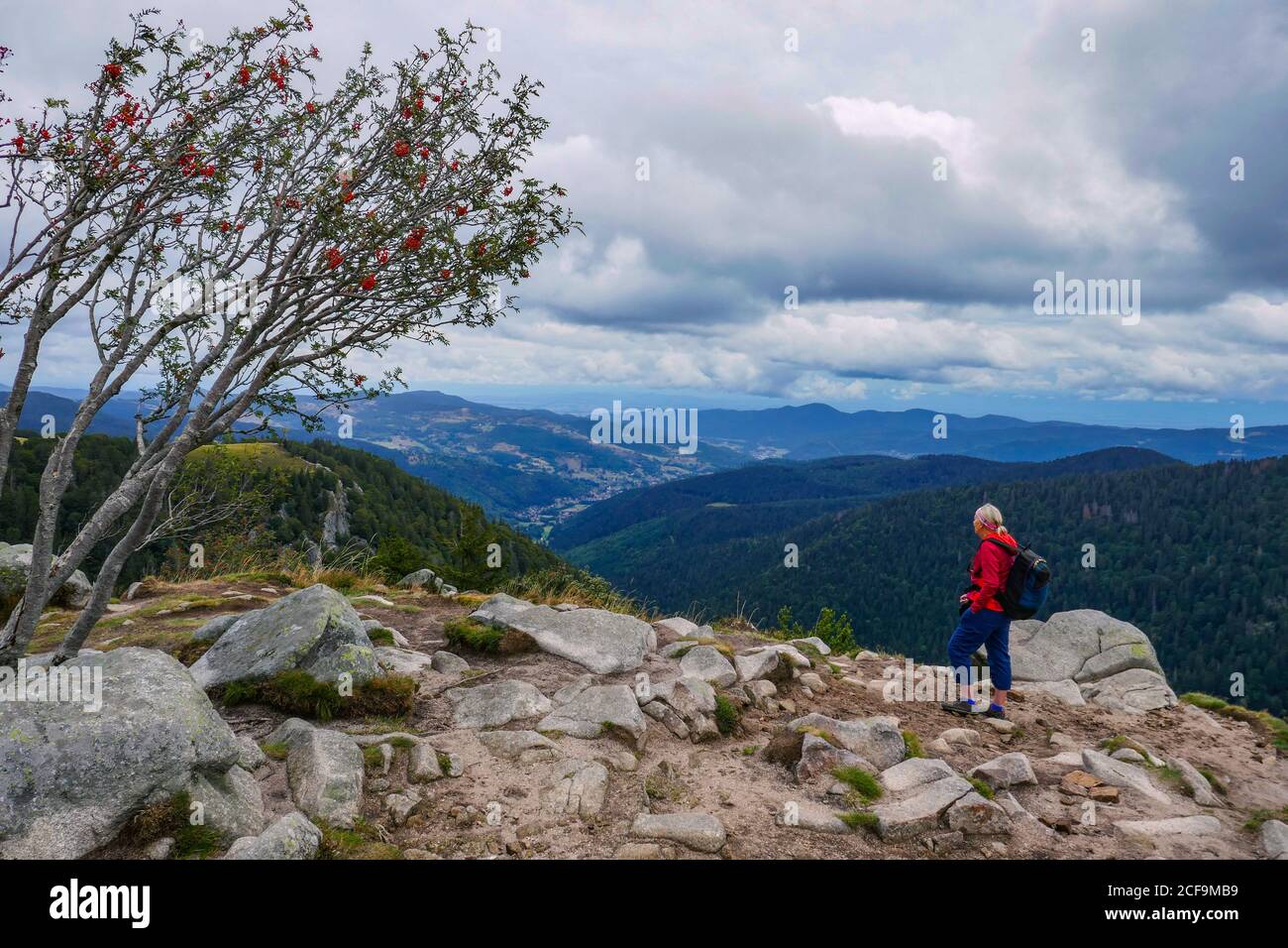 Mujer hiker en rojo sobre la cresta rocosa en Hohneck, por encima de Munster, Vosgos, Francia Foto de stock