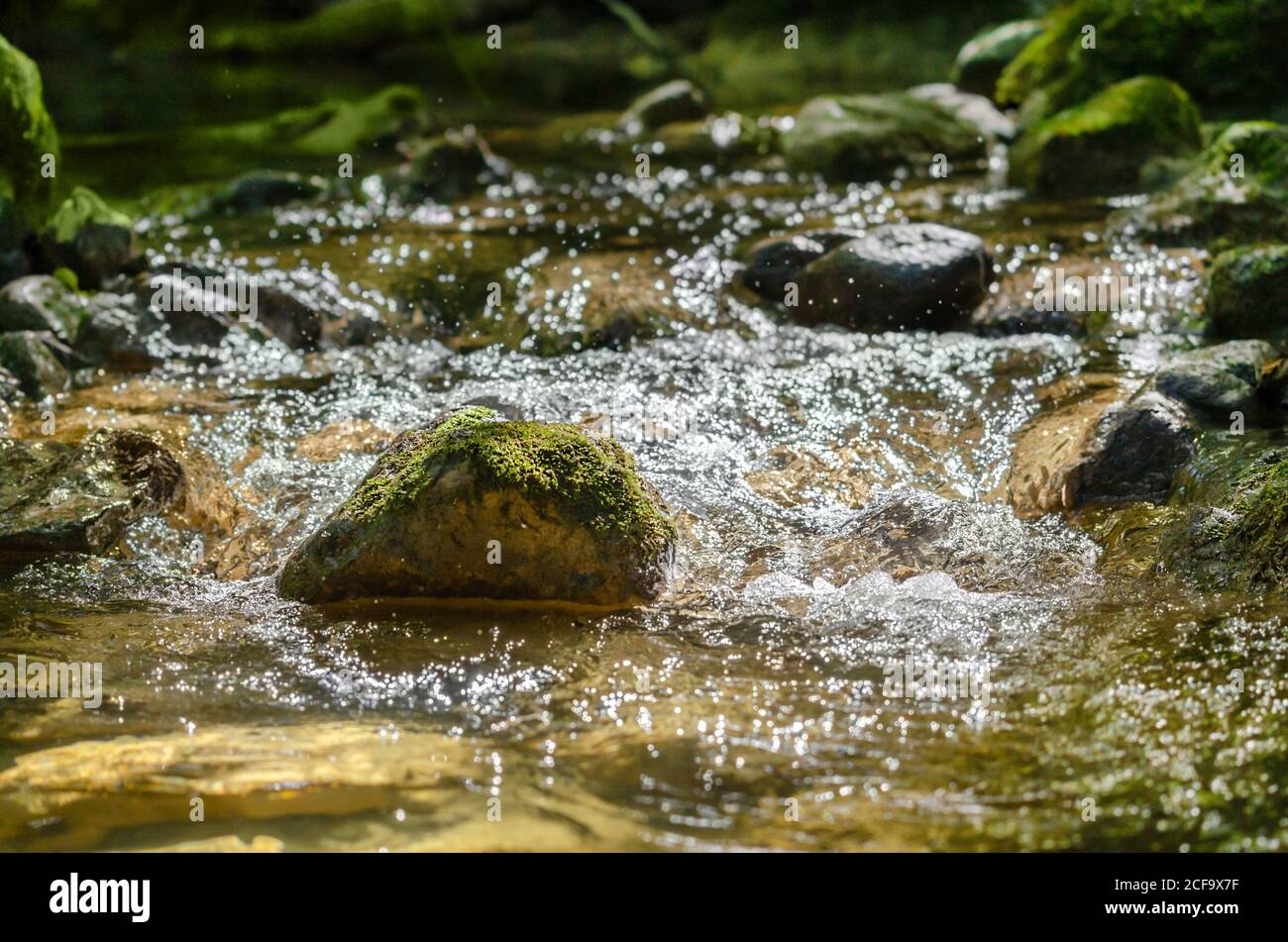 Piedra mossy en un arroyo de montaña. Una piedra en una cama de arroyo, en un soleado día de otoño, con mucho musgo, rodeado de agua burbujeante. Foto de stock