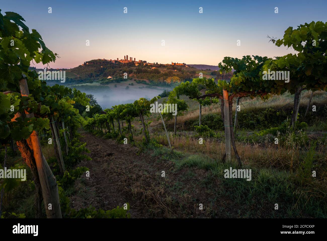 Europa, Italia, Toscana, provincia de Siena, San Gimignano, Foto de stock