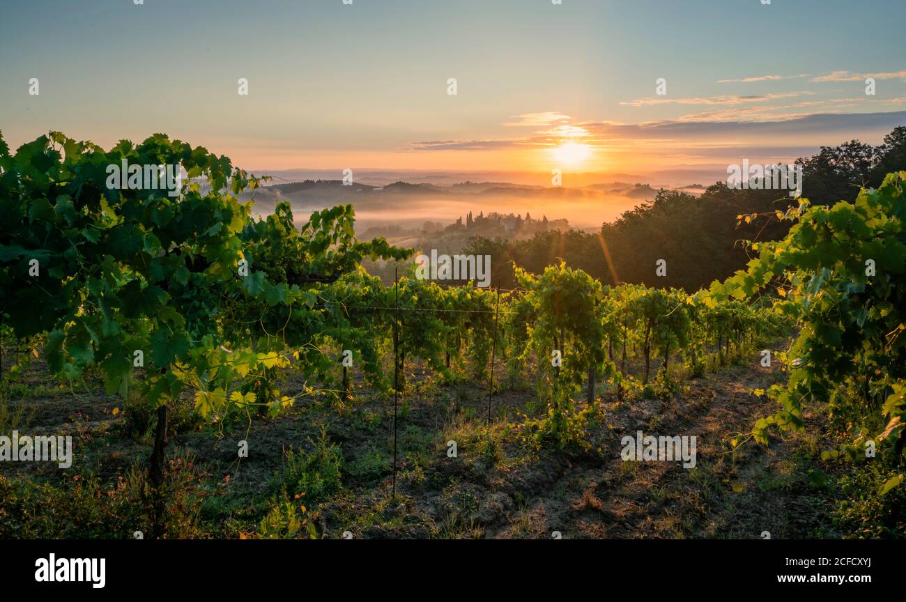 Europa, Italia, Toscana, provincia de Siena, San Gimignano, Foto de stock