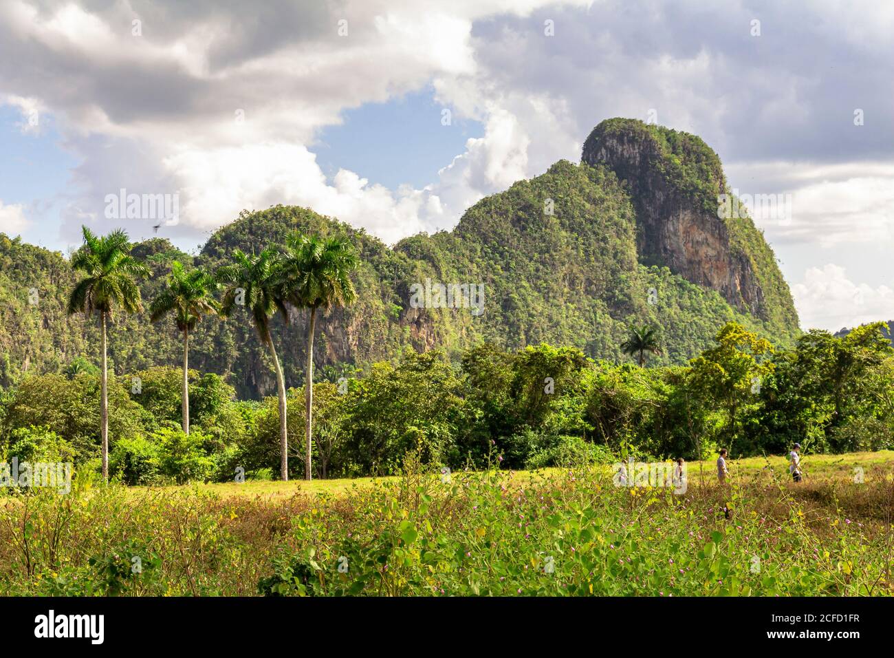 Senderismo En El Valle De Vinales Fotos e Imágenes de stock Alamy