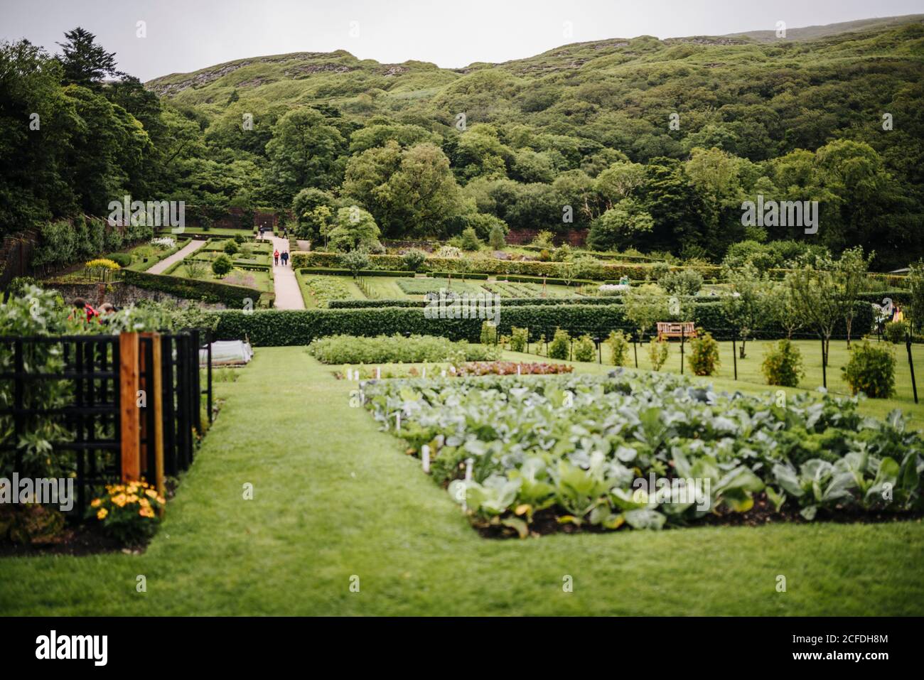 El 'Jardín amurallado' victoriano de la Abadía de Kylemore Foto de stock