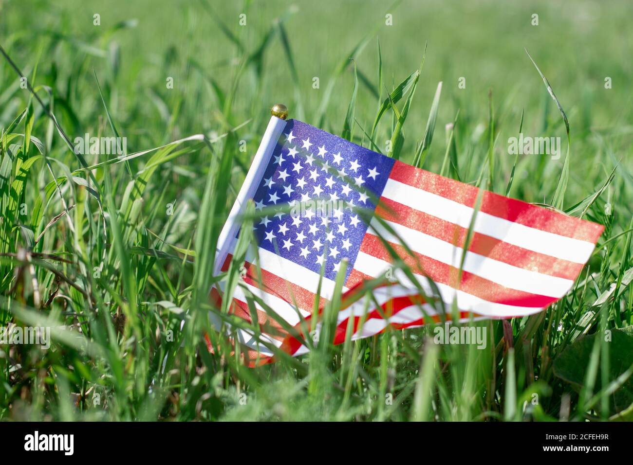 Bandera nacional de los Estados Unidos de América en hierba verde. Día del trabajo Foto de stock