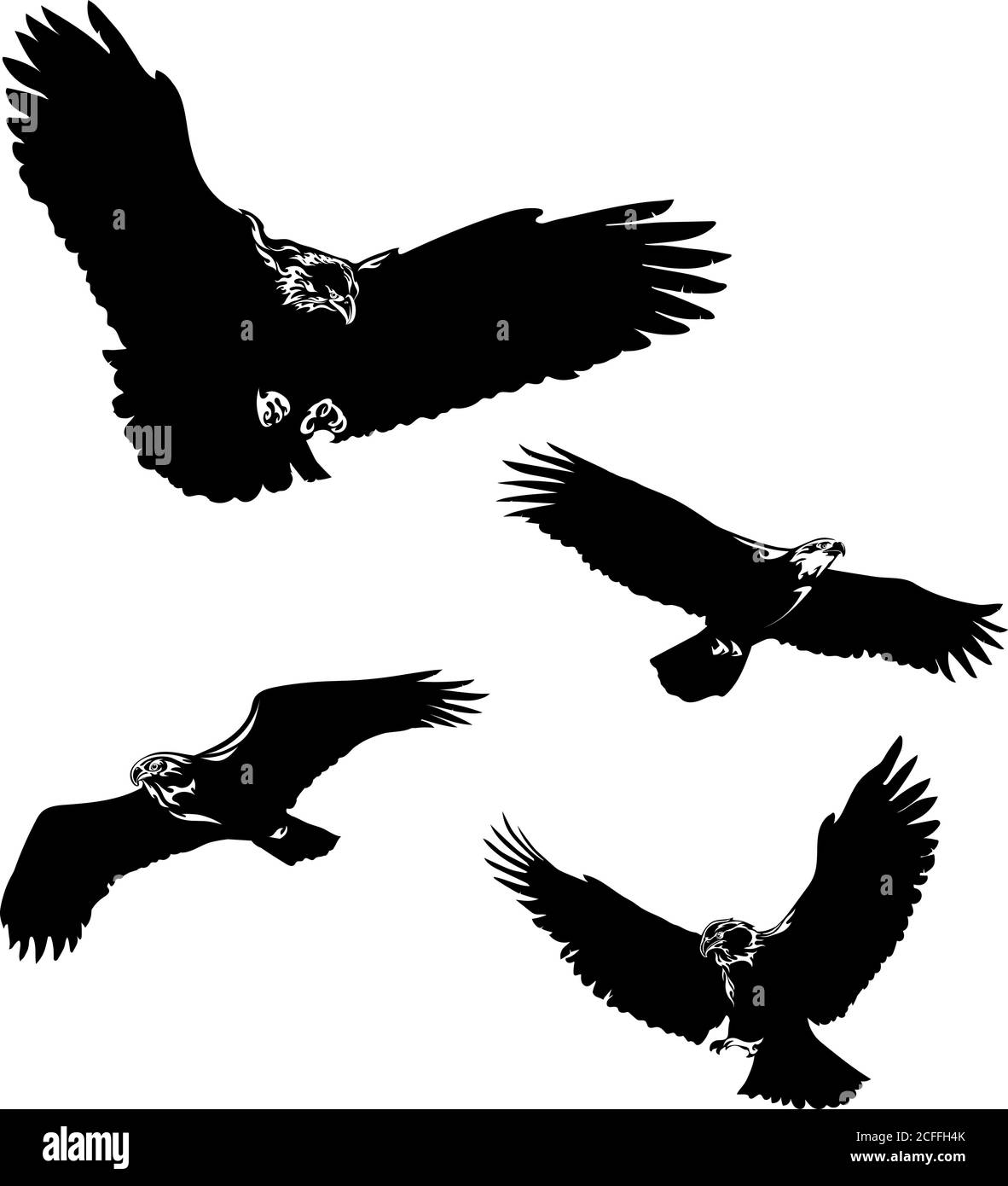 águila, águila, pájaro, alas, plumas, pluma, mosca, vuelo, vuelo, cabeza, ojos, ojos, pico, alas, cola, depredador, salvaje, ojos, vector, vector, gráfico Ilustración del Vector