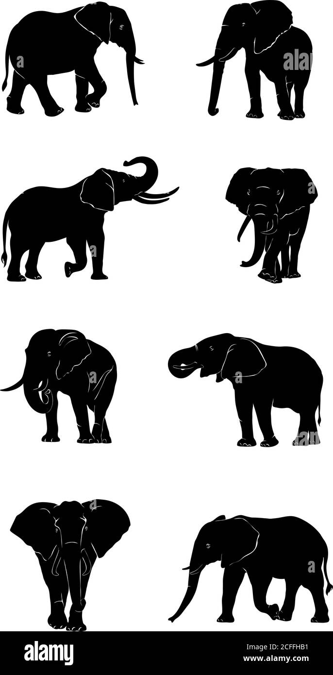 elefante, figura, vector, gráfico, imagen, aislado, ilustración, animal, zoo, cabeza, tronco, orejas, colmillos, negro, grande, vector, gráfico, silueta Ilustración del Vector