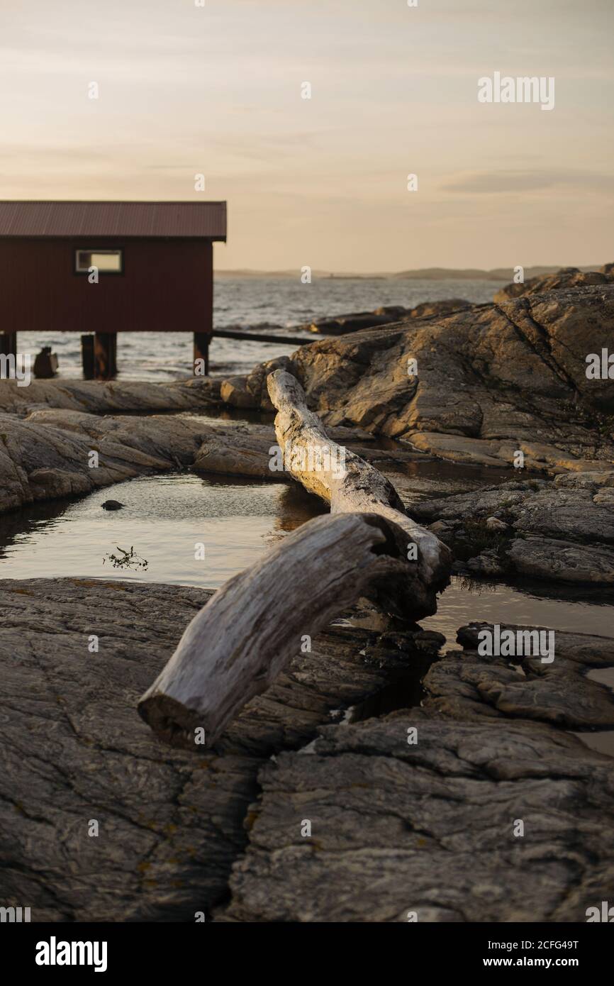 Remota casa de madera roja situada en la costa rocosa con seco tronco de árbol en suelo pedregoso entre charcos fríos por la noche Foto de stock