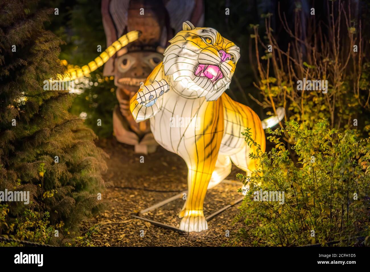 Dublín, Irlanda, noviembre de 2018 luces salvajes en el zoo de Dublín. Muestra de luz de animales africanos Foto de stock