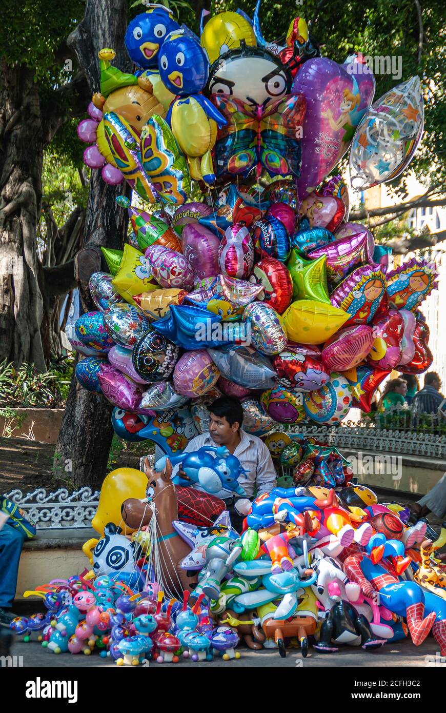 Acapulco, México - 25 de noviembre de 2008: Centro antiguo. Hombre  proveedor de globos se sienta bajo la enorme torre de globos de colores con  un gran árbol con verde fol Fotografía