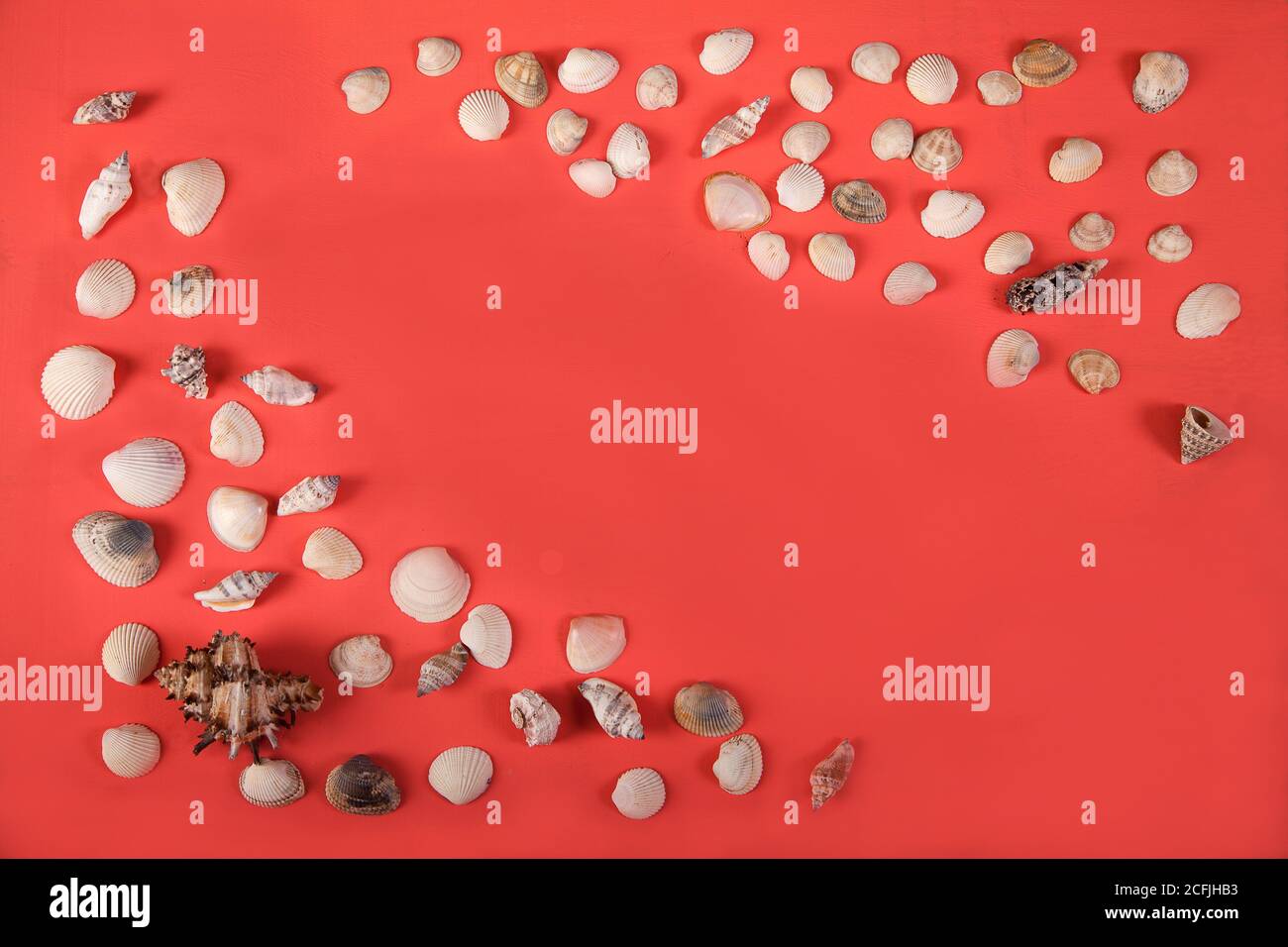 Pequeñas conchas dispersas se encuentran sobre un fondo rosa. Copiar espas. Foto de stock