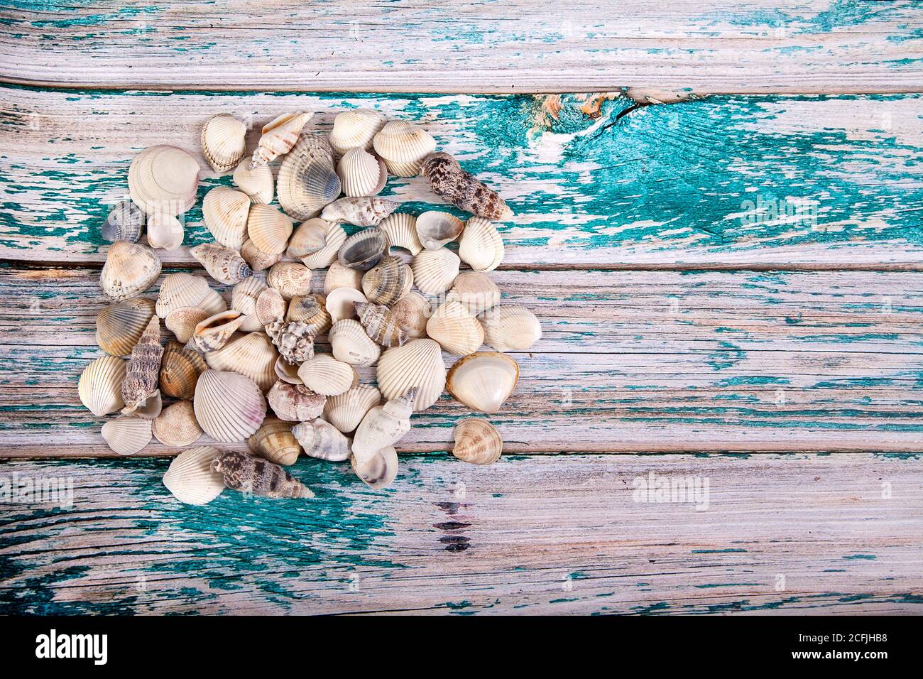 Pequeñas conchas de mar están esparcidas sobre un fondo de madera azul. Copiar espas Foto de stock