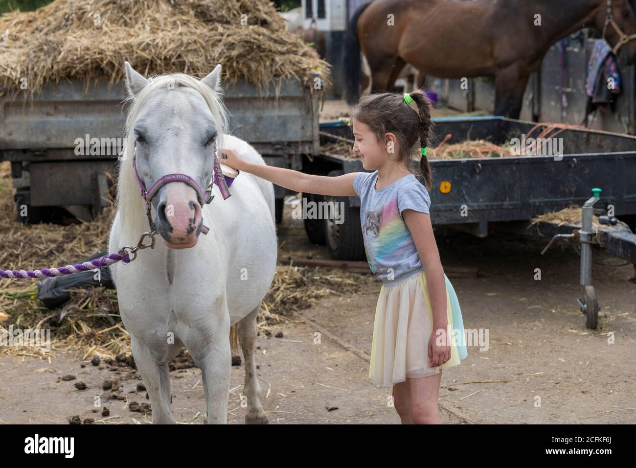 Sonriendo niña joven de pie arreglando el caballo con un cepille en un paddock al aire libre Foto de stock