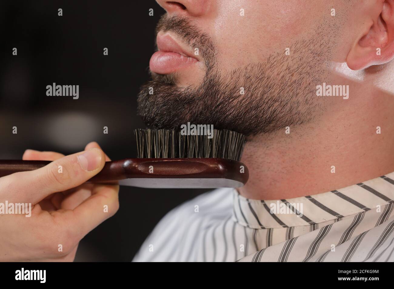 Cabeza y barba cortadas en una peluquería. Barber se pone y peine la barba del cliente. El proceso de crear un peinado y moldear una barba para los hombres Foto de stock