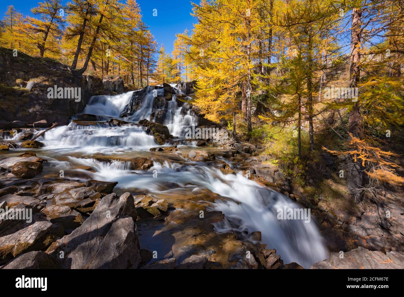 Cascada Fontcouverte en otoño con árboles de alerce en el valle superior de Claree. Nevache, Altos Alpes (05), Alpes, Francia Foto de stock