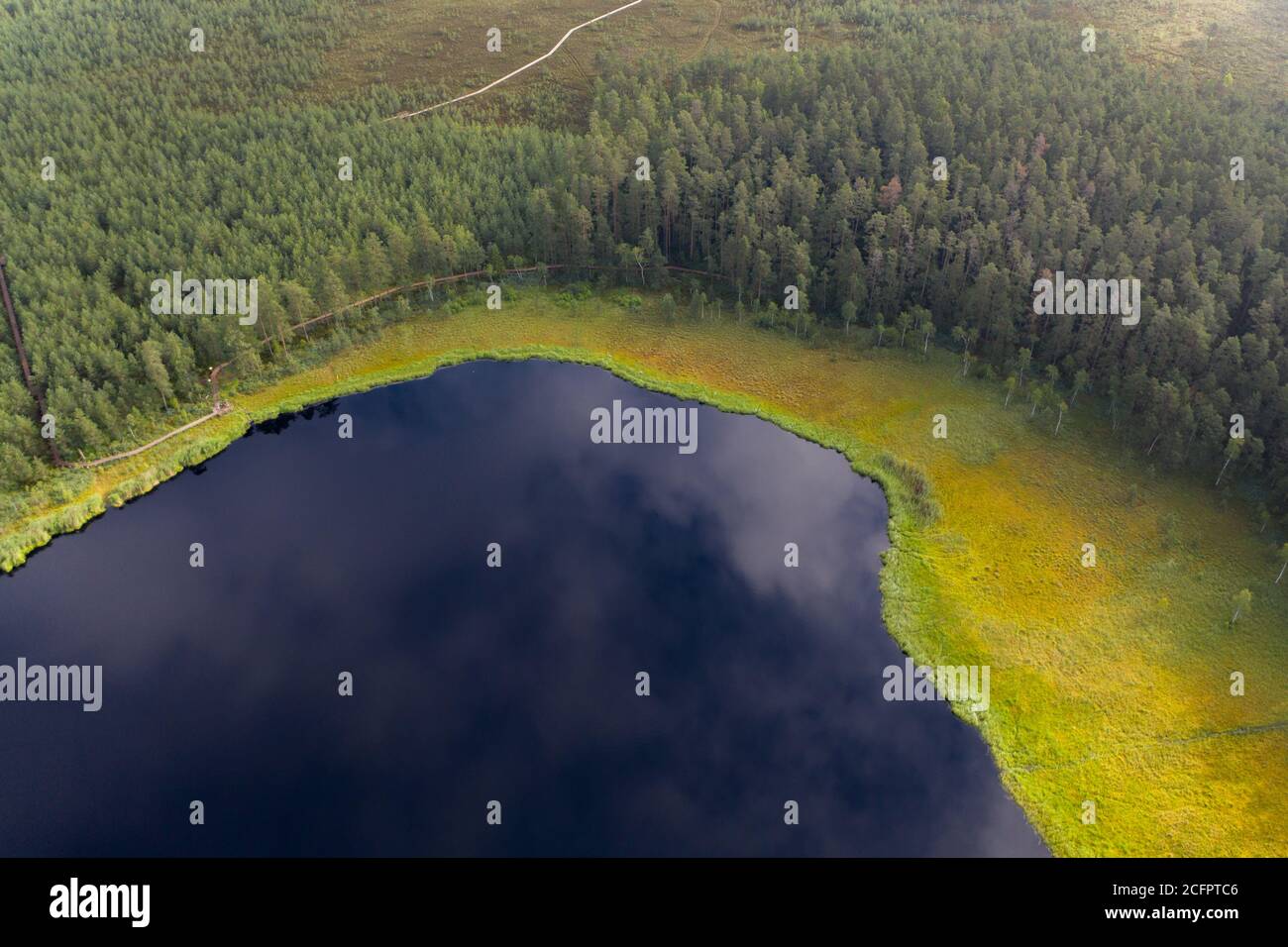 Vista Aerea Del Lago Kangaru Angaru Ezers Y El Bosque Verde Fotografia De Stock Alamy