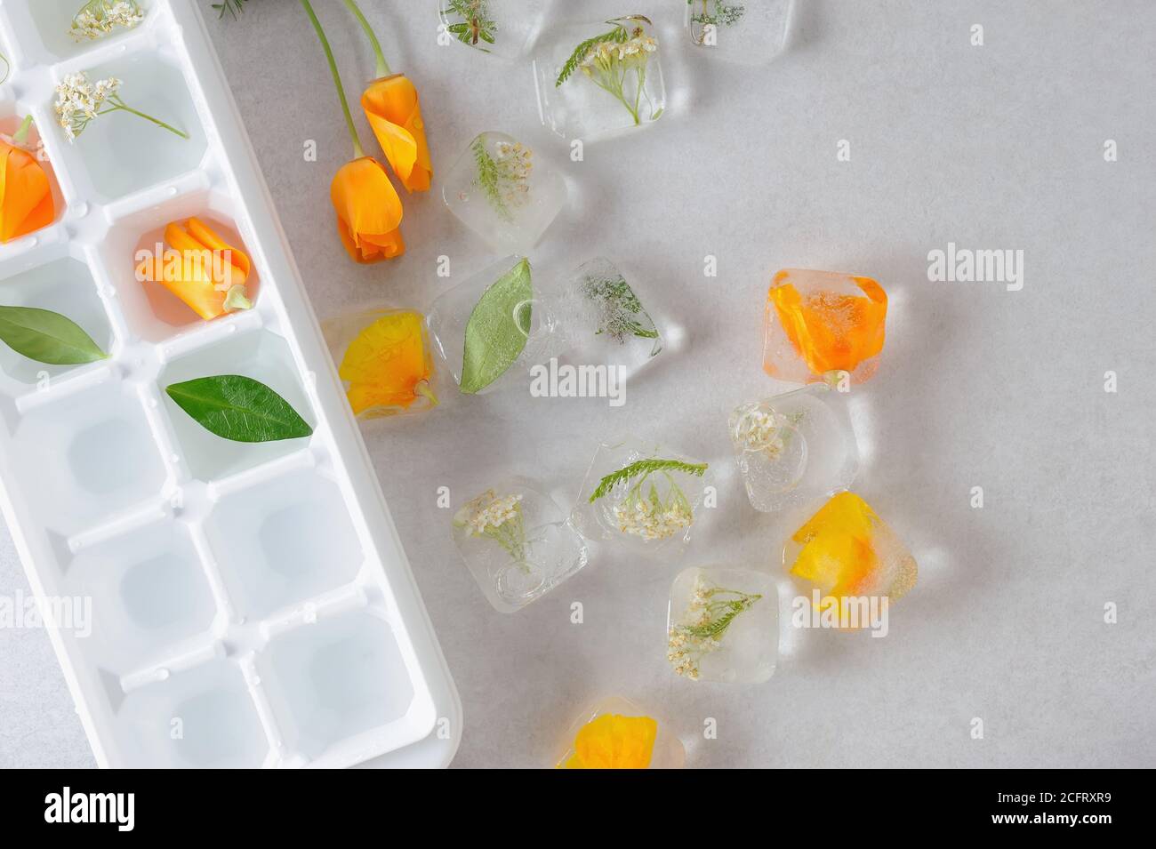 Molde de hielo fotografías e imágenes de alta resolución - Alamy