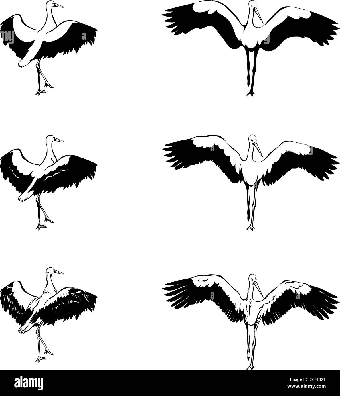 cerdo, pájaro, grúa, blanco, negro, vector, ilustración, gráfico, diseño, imagen, aislado, pico, ala, alas, plumas, plumas, naturaleza Ilustración del Vector