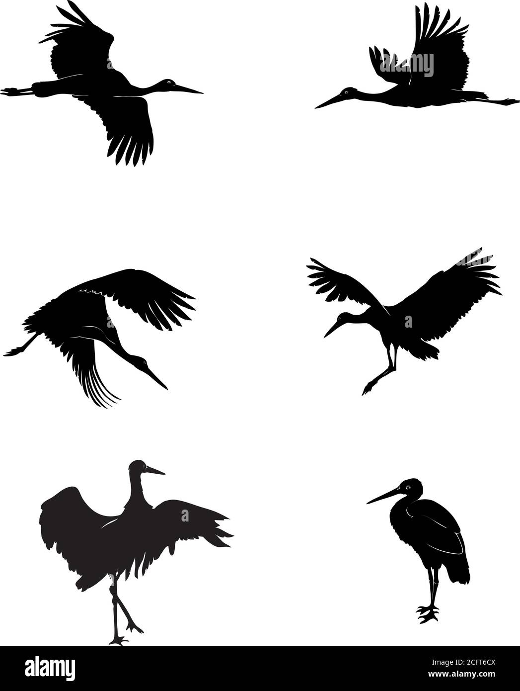 cerdo, pájaro, grúa, blanco, negro, vector, ilustración, gráfico, diseño, imagen, aislado, pico, ala, alas, plumas, plumas, naturaleza Ilustración del Vector