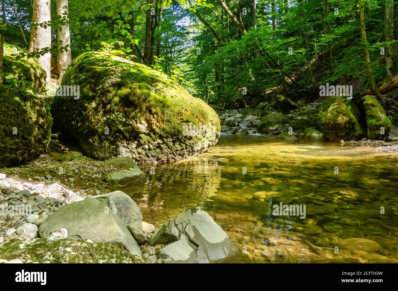 Gran roca, con musgo verde, junto a un tranquilo arroyo en un bosque soleado. Piedra grande en el borde de un lecho de arroyo en un bosque deciduo. Foto de stock
