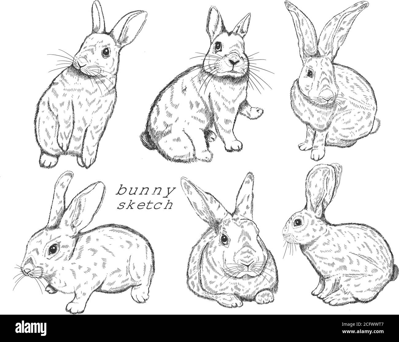 Dibujo de conejo Imágenes de stock en blanco y negro - Alamy Dibujo de conejo Imágenes de stock en blanco y negro - Alamy