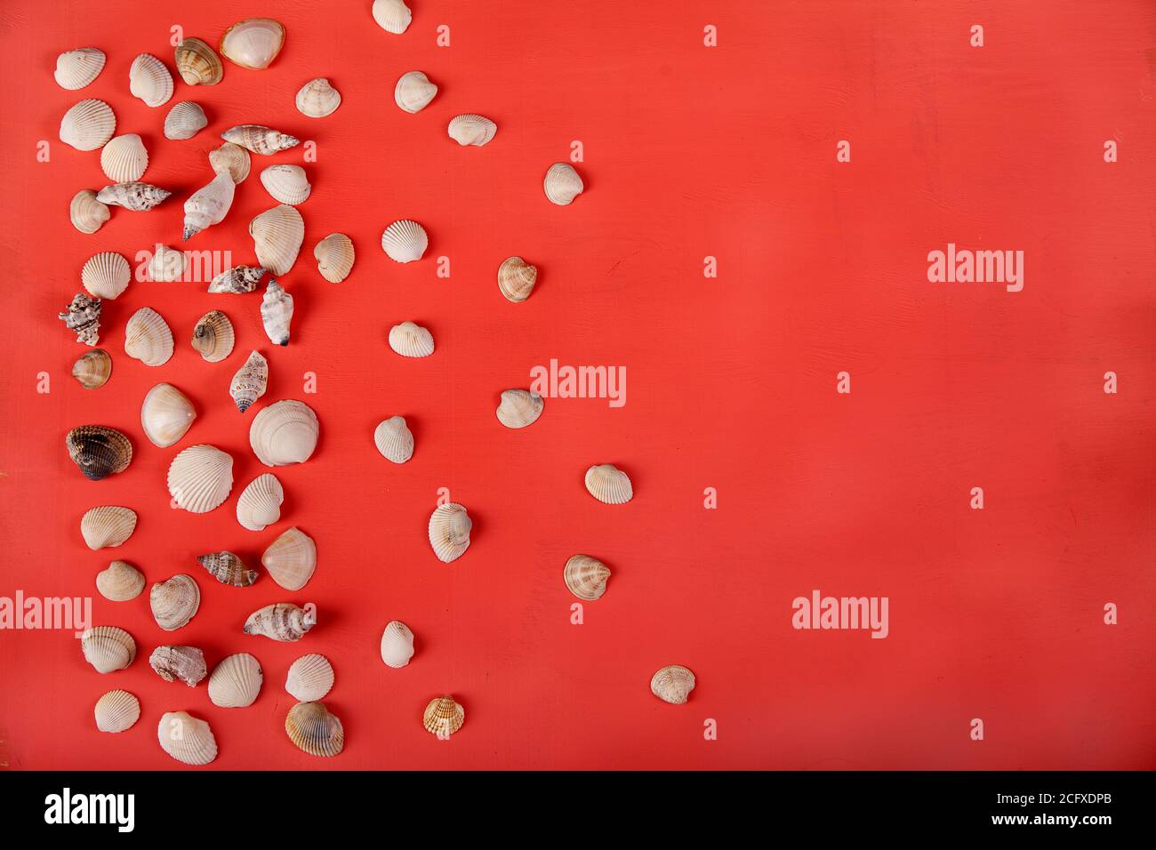 Las pequeñas conchas marinas están muy bien esparcidas sobre un fondo rojo. Lay plano. Copiar espas Foto de stock