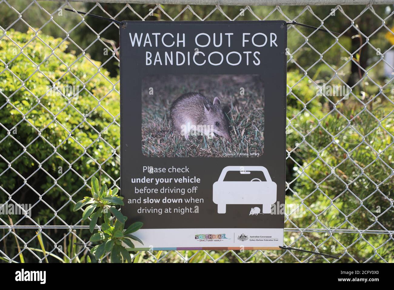 Ten cuidado con el cartel de bandicoots en North Head Sanctuary, Manly. Foto de stock
