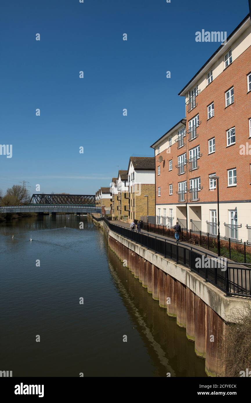 Apartamentos junto al río Nene en la ciudad catedral de Peterborough, Cambridgeshire, Inglaterra. Foto de stock