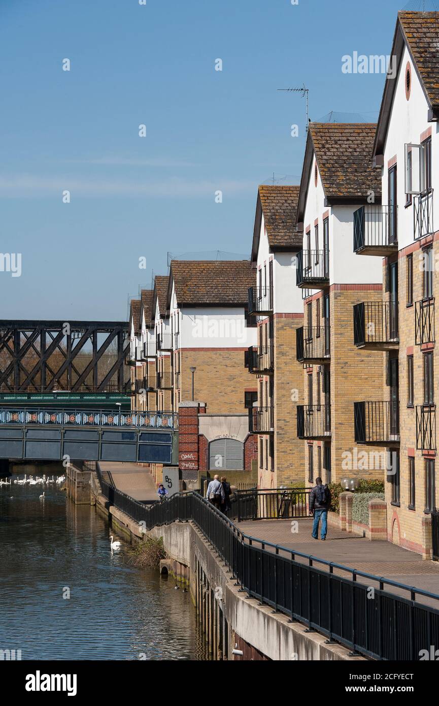 Apartamentos junto al río Nene en la ciudad catedral de Peterborough, Cambridgeshire, Inglaterra. Foto de stock