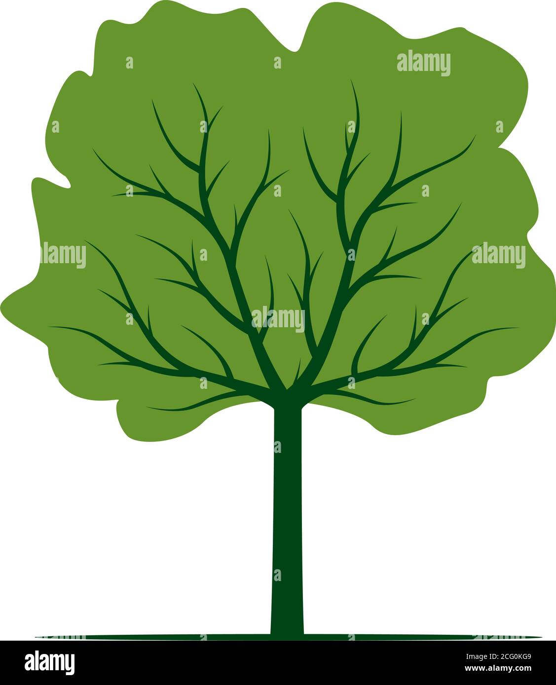Forma de árbol con aleros verdes. Ilustración de contorno vectorial. Planta en el Jardín. Ilustración del Vector
