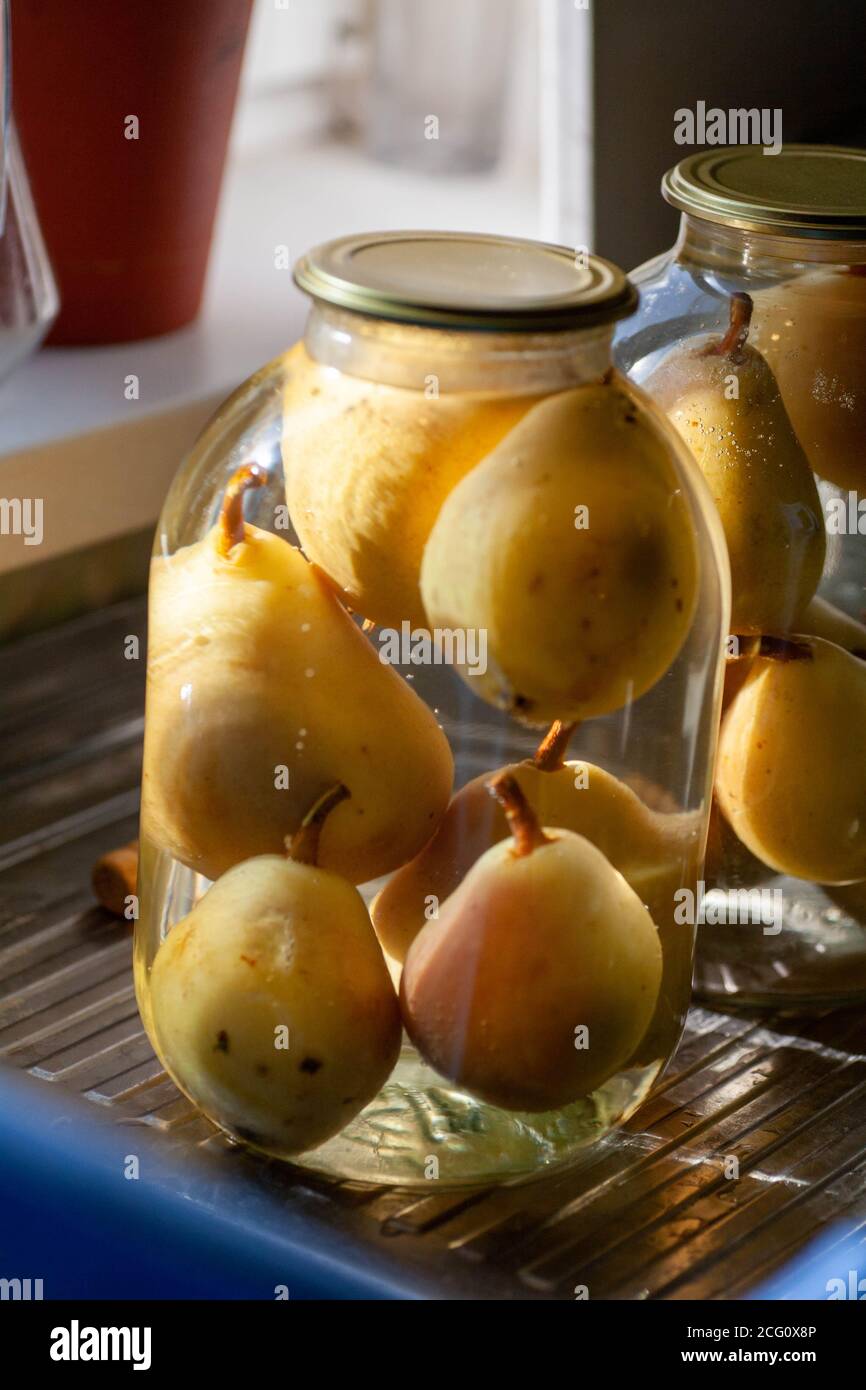 compota de pera. Peras enlatadas en una jarra de cristal. Suministros caseros de fruta para la serpiente. Foto de stock