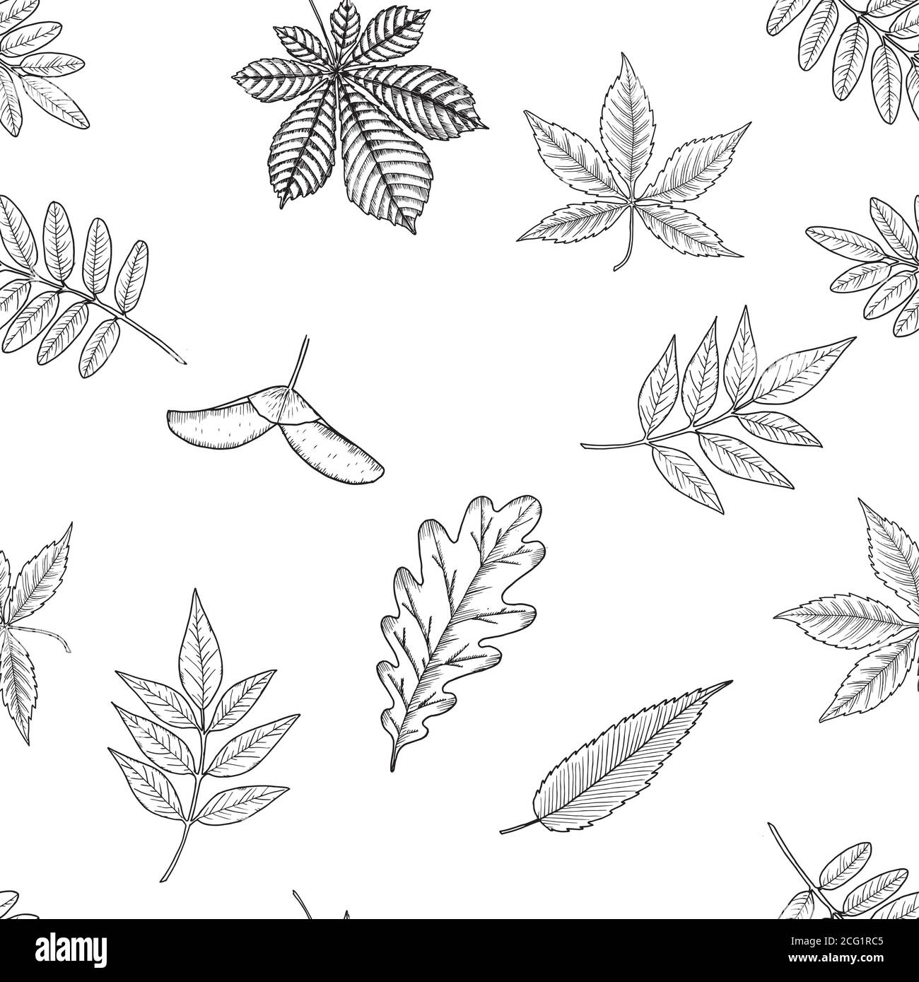 Patrón sin costuras con hojas de otoño. Perfecto para fondos de escritorio, fondos de páginas web, texturas de superficie, textil. Ilustración del Vector