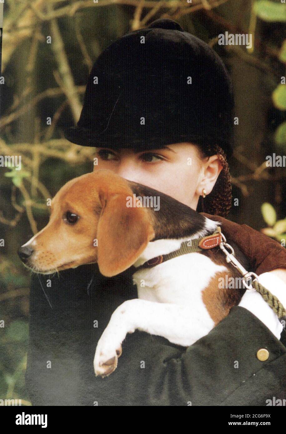 Coleccione la foto de las Cunas de Wye Beagle: El frente de Liberación de  animales dijo que robó 55 bejales de una Cuna remota porque el Gobierno no  había prohibido la caza