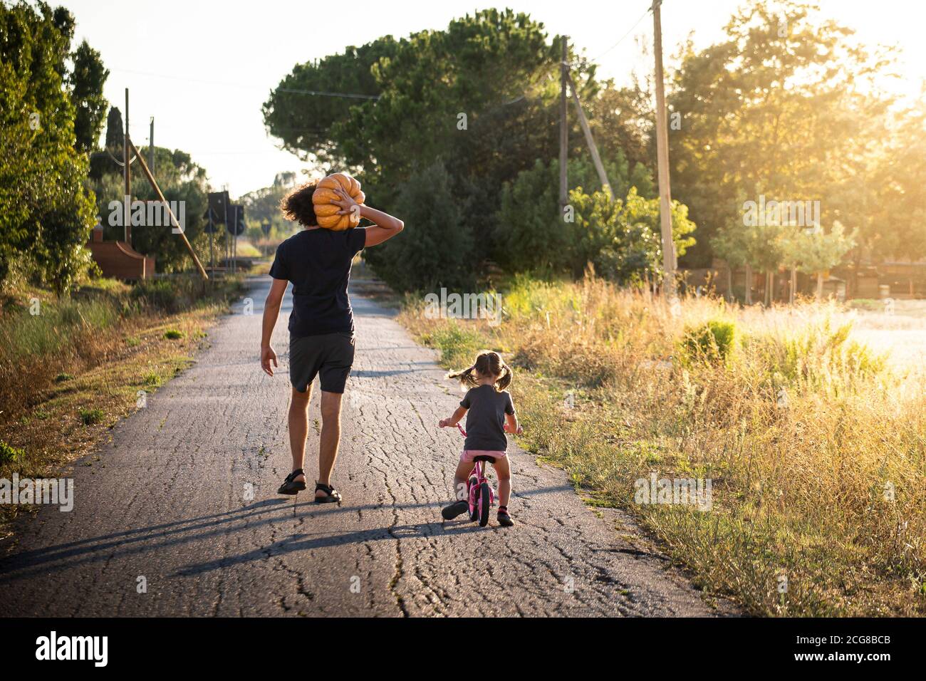 Niña pequeña, montando en bicicleta, con su joven padre llevando una gran calabaza de halloween en un camino campestre al atardecer. Vista posterior. Foto de stock