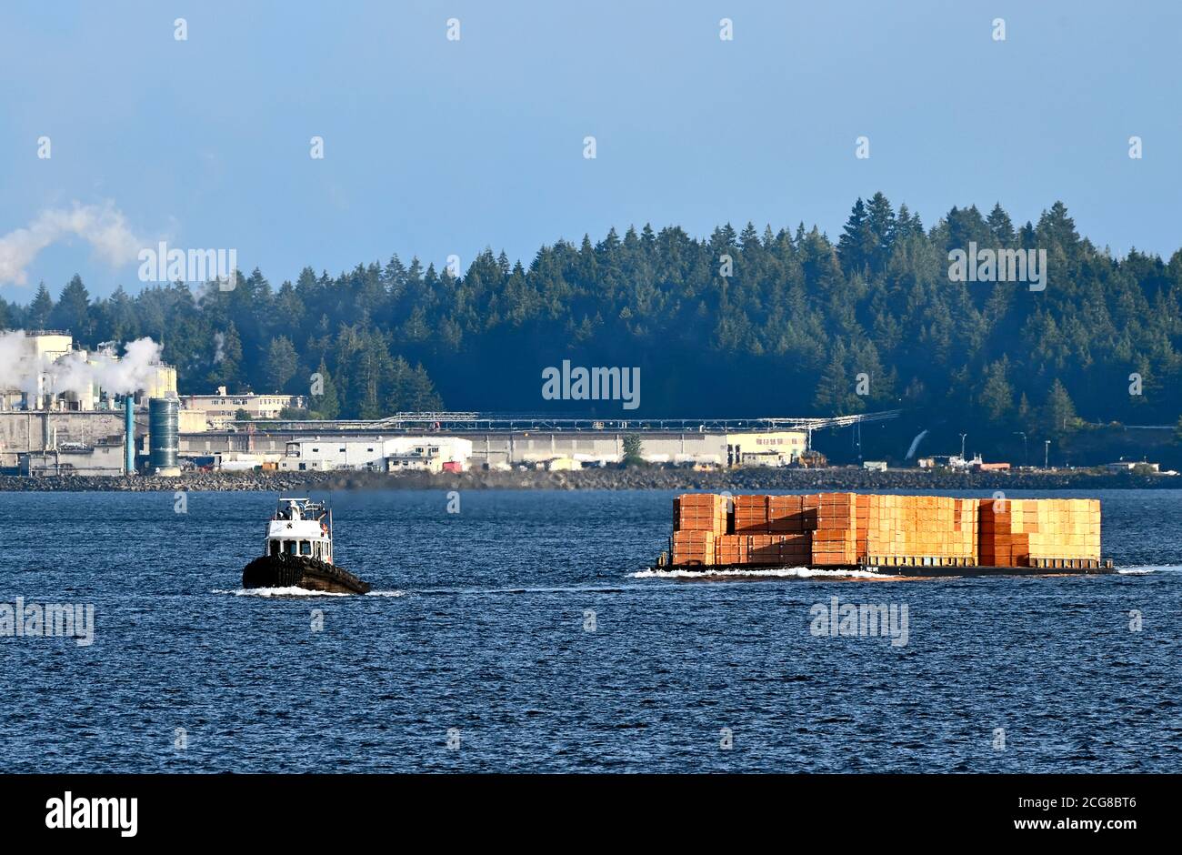 Un remolcador en funcionamiento que tira de una carga de productos de capas a través del puerto en Nanaimo en la Isla de Vancouver British Columbia Canadá. Foto de stock