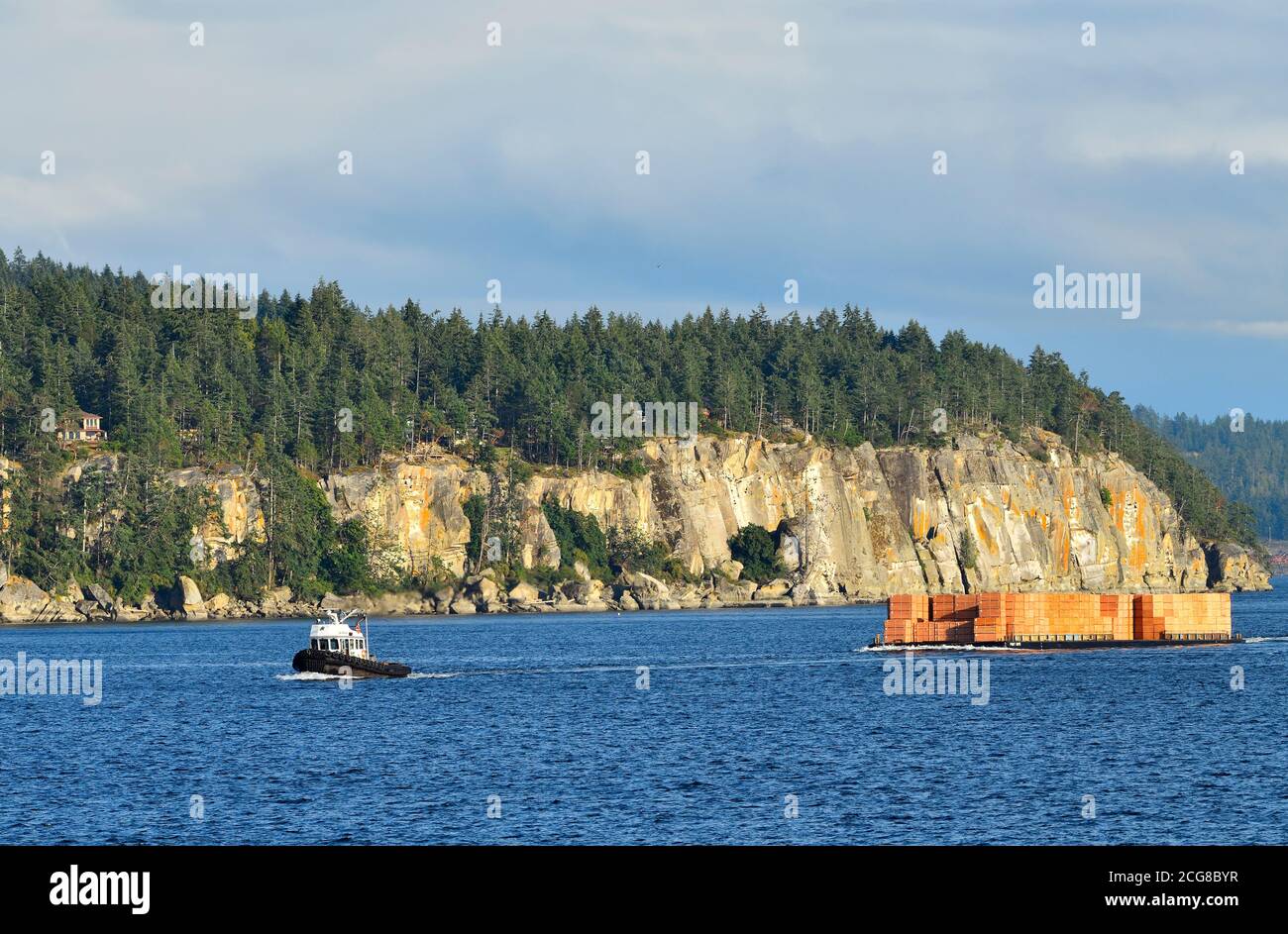 Un remolcador en funcionamiento que tira de una carga de productos de capas a través del puerto en Nanaimo en la Isla de Vancouver British Columbia Canadá. Foto de stock
