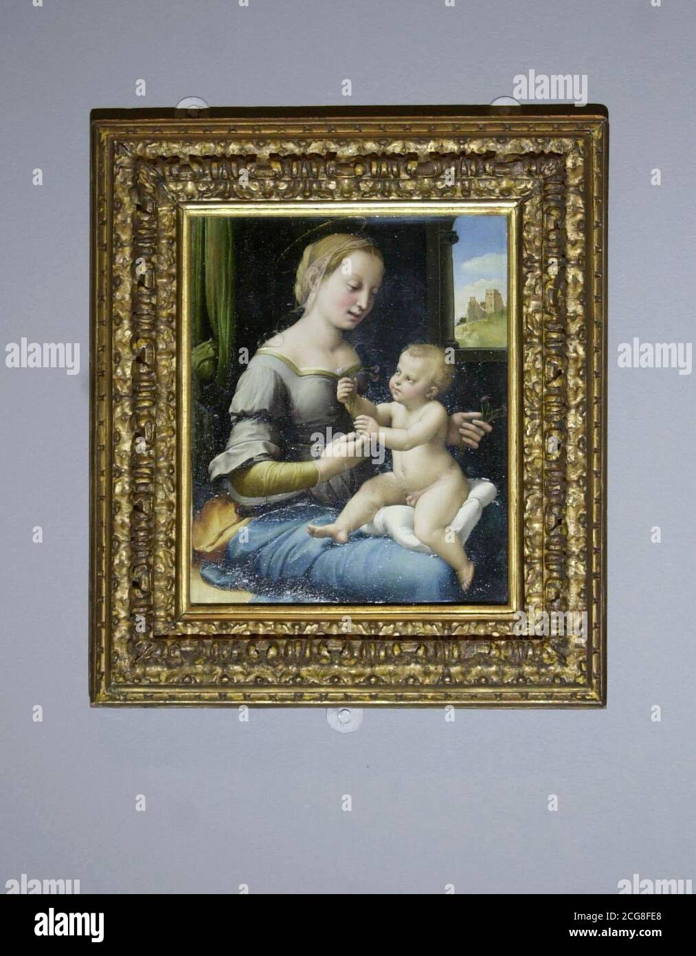 La "Virgen de los Pinks" de Rafael, presentada en la Galería Nacional de  Londres, después de que la obra maestra fue vendida a la galería por 22  millones por el duque de