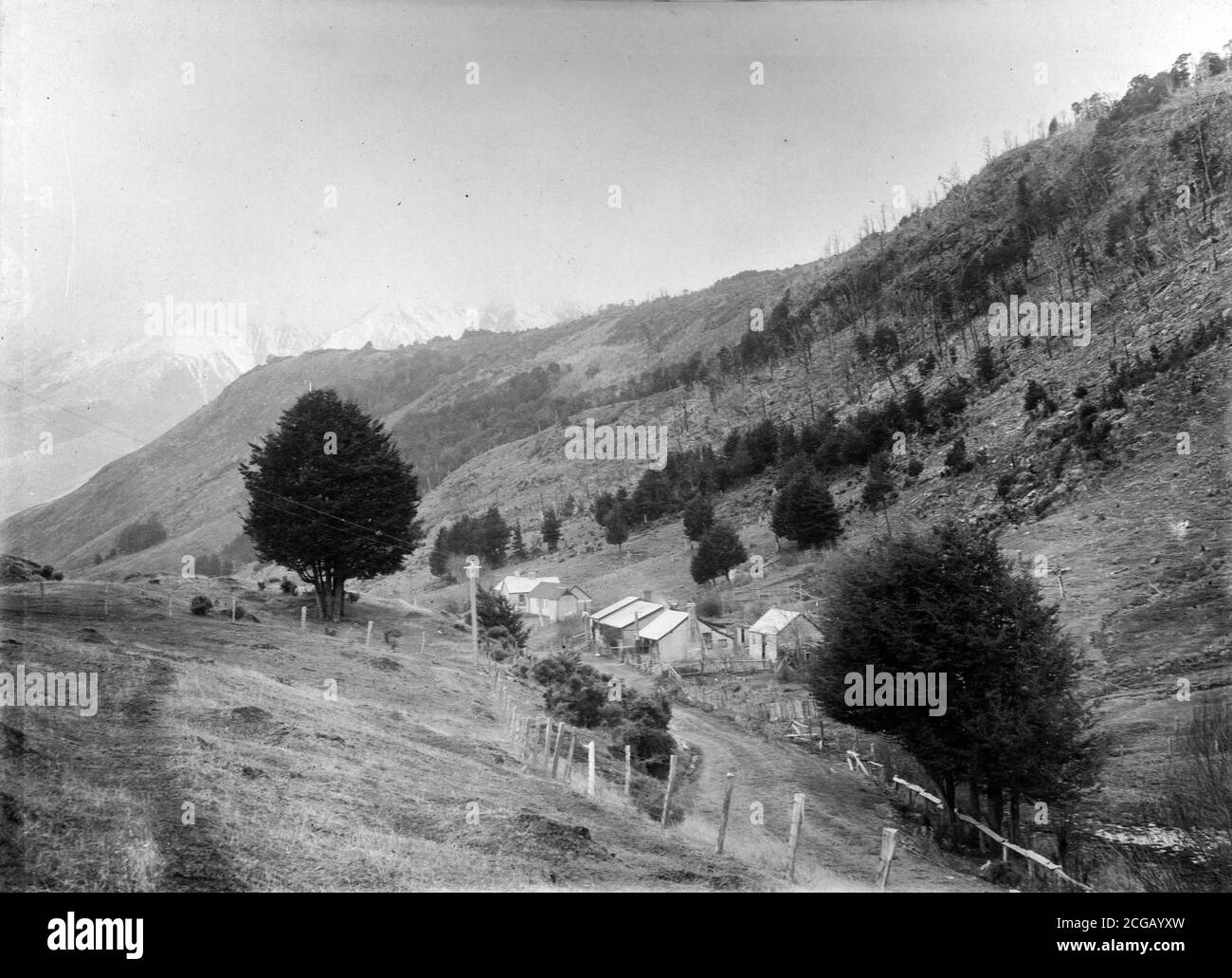 Municipio de Bealey en Canterbury, Nueva Zelanda, alrededor de 1915. De la colección de la familia Logie. Foto de stock