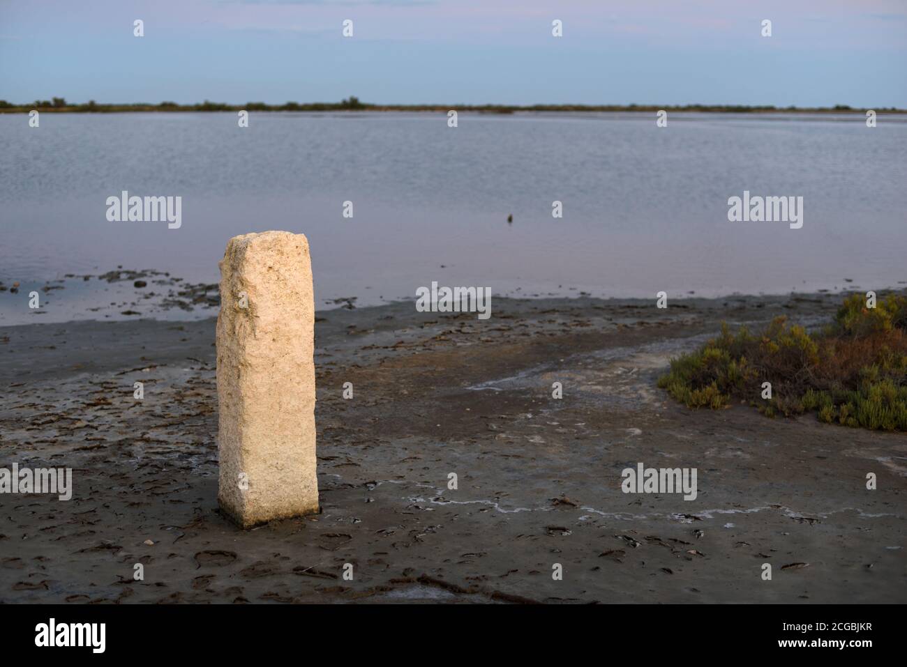 Piedra de pie en el borde del agua del Etang de la Dame Lake Camargue Parque Regional o Reserva Natural Provenza Francia Foto de stock