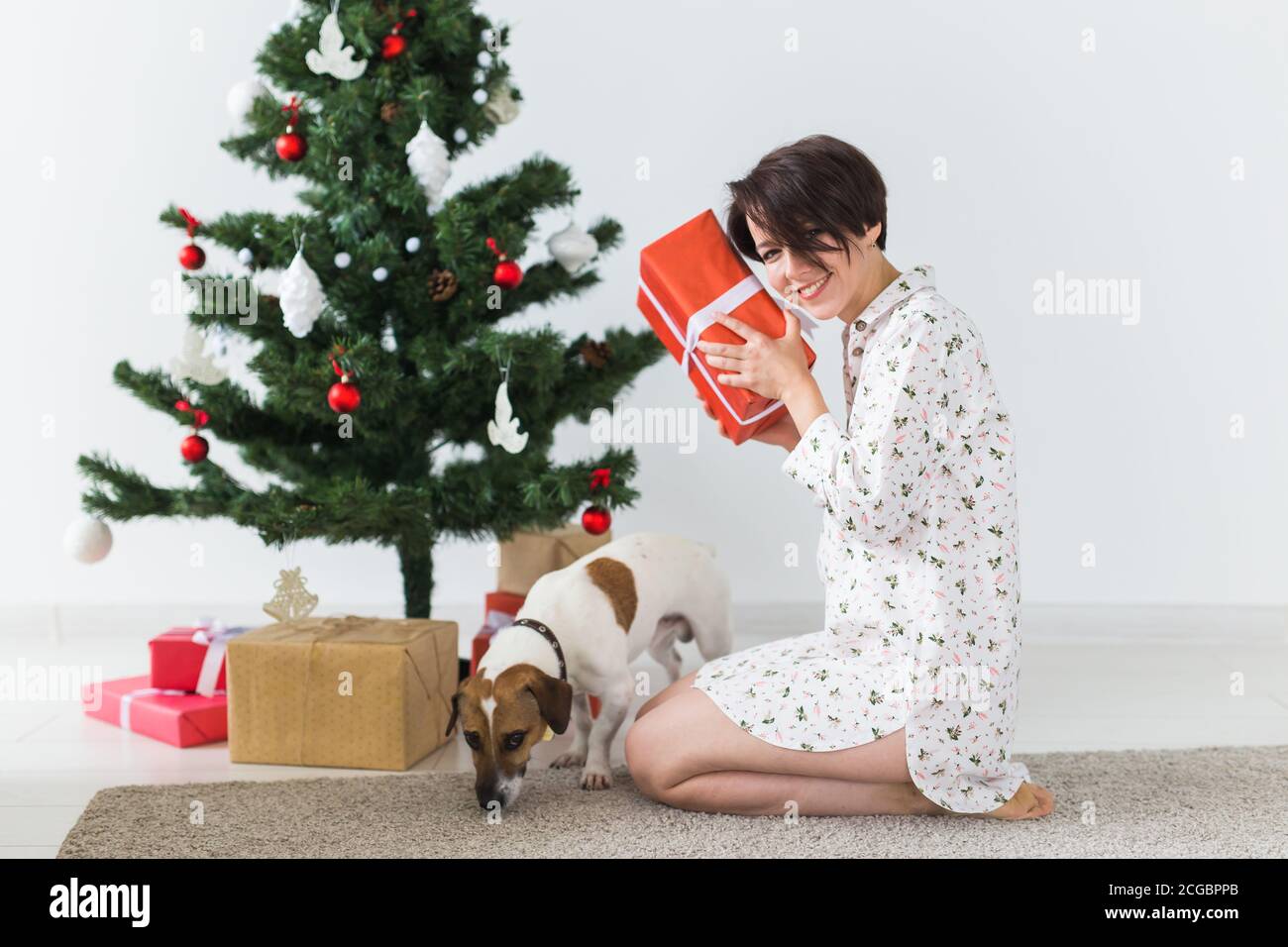 Mujer feliz con perro abriendo regalos de Navidad. Árbol de Navidad con  regalos debajo. Sala de estar decorada Fotografía de stock - Alamy