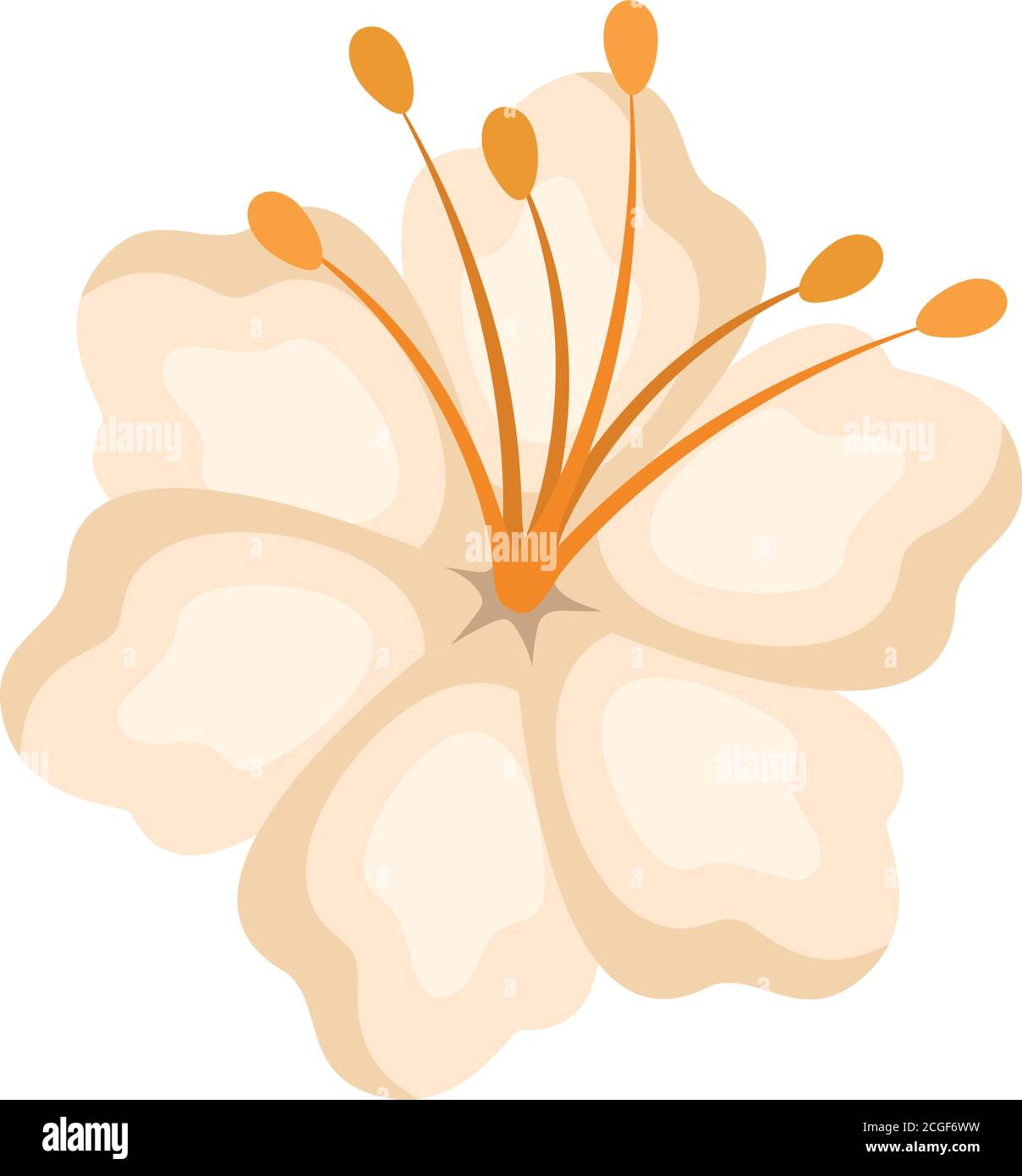 Diseño de vector de flores hawaianas blancas aisladas Imagen Vector de stock - Alamy Diseño de vector de flores hawaianas blancas aisladas Imagen Vector de stock - Alamy