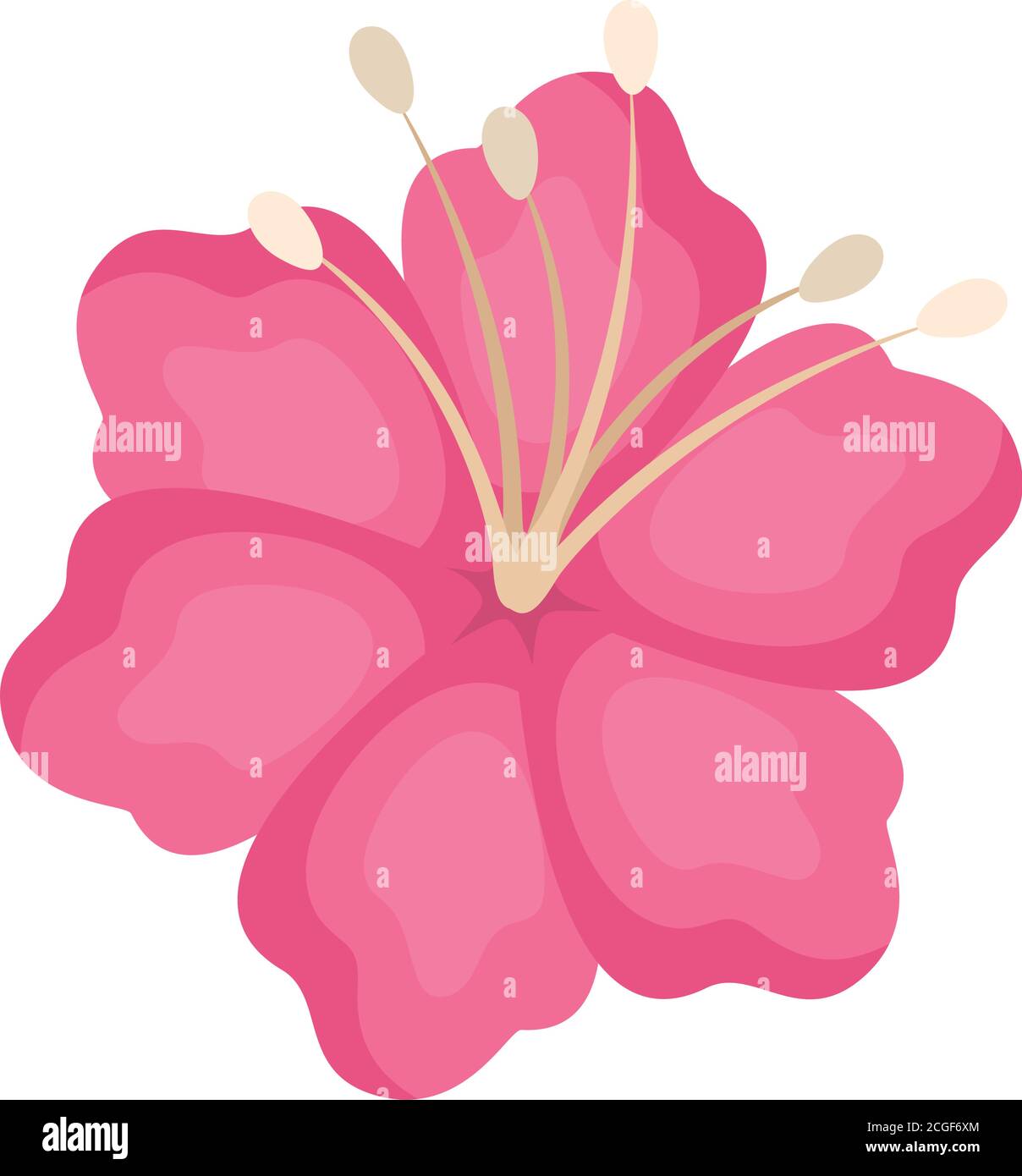 Diseño de vector de flores hawaianas de color rosa aislado Imagen Vector de  stock - Alamy