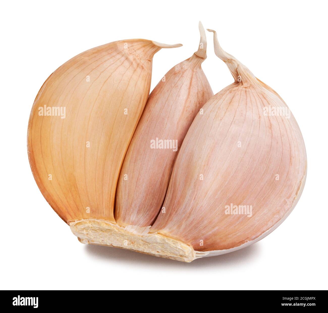 Dientes de ajo pelados aislado sobre fondo blanco Fotografía de stock