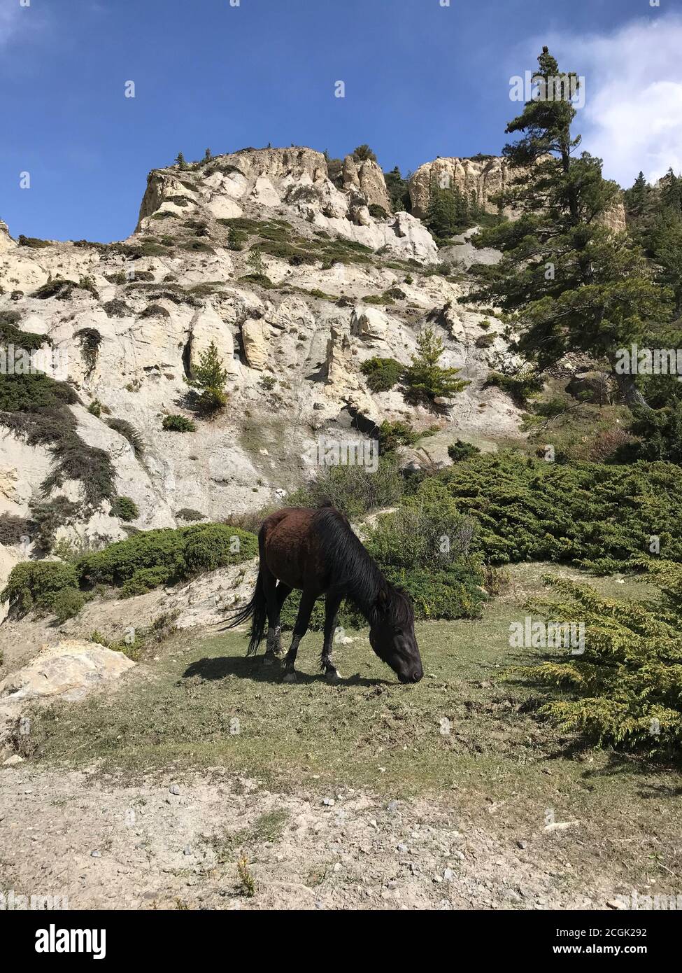 Hermosas rocas blancas en el reino Mustang, cerca del monte Nilgiri. El